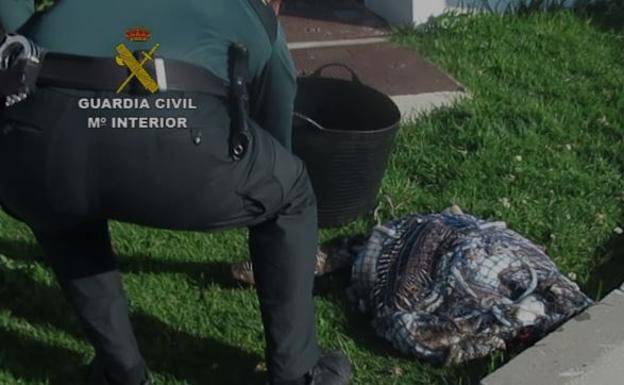 Sucesos | Denunciado un submarinista en Marbella tras pescar 15 kilos de jibia durante el confinamiento 1