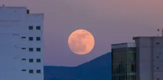 La luna llena: guía práctica para ver y sentir su magia image