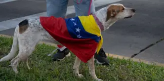 Venezuela Nicolás Maduro: impacto y perspectivas hoy image