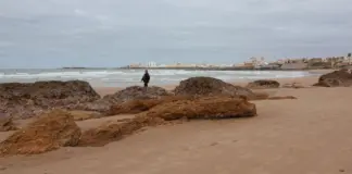 Fali y el Cádiz se separan tras ocho temporadas image
