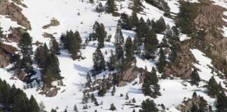 Heraldo de Aragon y el caso Forestalia hoy image