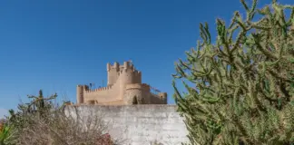 Juanma Moreno y Manuela Villena y su lado más humano image