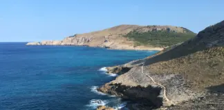 mallorca jagoba arrasate y el relevo que se abre image