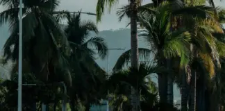 Puerto Vallarta hoy y lo que debes saber del clima image