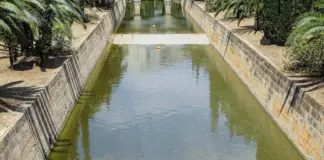 Santiago Segura y el nuevo récord de Torrente image