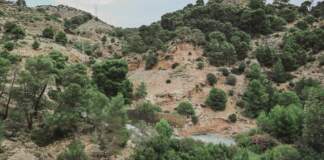 Serranillos del Valle sube la tensión en sus plenos image