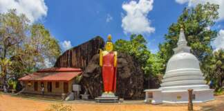 Sri Lanka frena a EE UU y gana protagonismo regional image