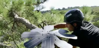 Los árboles hablan: la tecnología que desenmascara a los taladores
