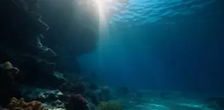 ¿Por qué aventurarse en el espacio resulta más accesible que explorar las profundidades de nuestros océanos?