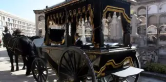 El misterioso visitante que trae recuerdos del pasado