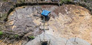 Del esplendor verde al mercurio en el agua: el oro devora la Amazonía peruana