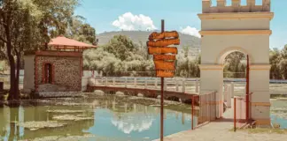 Hacienda cuánto tarda en devolver la Renta image