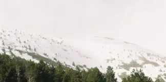 Juan del Val y Nuria Roca sorprenden con su hijo image