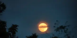 Primitiva del lunes hoy cómo comprobar y cobrar image