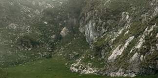 Quebrantahuesos y la alerta que sacude Picos image