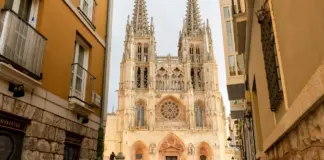 Burgos Deportivo y una cita que puede marcar el ascenso image