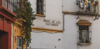 toros sevilla y David de Miranda conquistan la Maestranza image