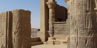 Egipto y el simio que cambia la evolución humana image
