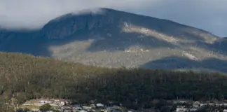 Tasmania simplifica sus contratos públicos hoy image