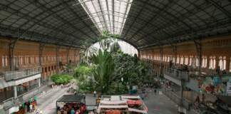 Atocha y el caos de Cercanías en hora punta image