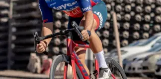 Carles Tamayo y su fondo buitre real image