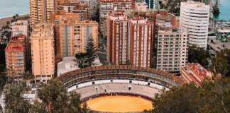 Cartel toros hoy Sevilla y lo mejor para ver image