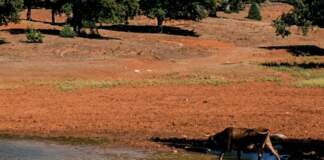 Clima en España qué está pasando y por qué importa image