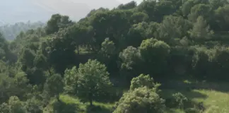 Del Cerro Grande y la polémica que marcó al Barça image