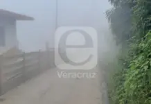 Descubre el ambicioso plan de una minera canadiense en Veracruz.
