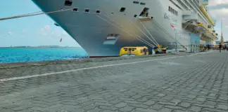 Hantavirus crucero contagios y las visitas llegan image