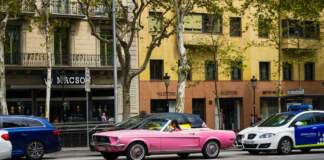 Matrículas rosas qué significan y por qué llegan image