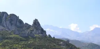 Quiebrahuesos en Picos de Europa y su futuro image