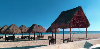 Supervivientes vive una noche clave con la palapa image