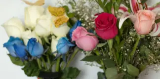 Tiendas Lili Pink bajo lupa y qué puede pasar ahora image
