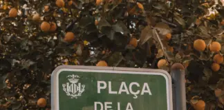 Valencia vive hoy la emoción de la Mare de Déu image