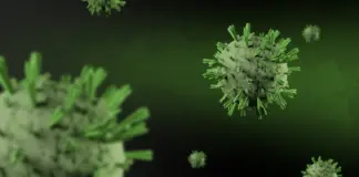 Virus Nipah Tailandia qué debes saber hoy image
