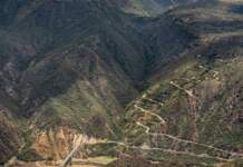 Betoma Colombia y el hallazgo que cambia todo image