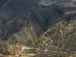 Betoma Colombia y el hallazgo que cambia todo Betoma Colombia y el hallazgo que cambia todo image