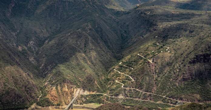 Betoma Colombia y el hallazgo que cambia todo Betoma Colombia y el hallazgo que cambia todo image