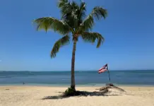 Puerto Rico abre oportunidades y tradición en 2026 Puerto Rico abre oportunidades y tradición en 2026 image