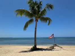 Puerto Rico abre oportunidades y tradición en 2026 image