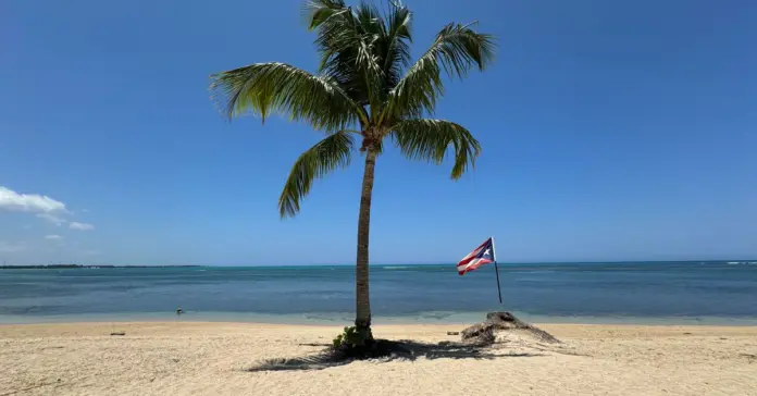 Puerto Rico abre oportunidades y tradición en 2026 Puerto Rico abre oportunidades y tradición en 2026 image