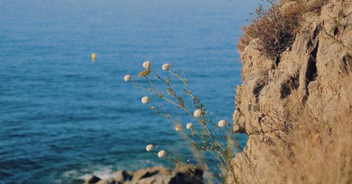 Roses y el caso del menor desaparecido en la Costa Brava Roses y el caso del menor desaparecido en la Costa Brava image