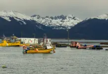 Ushuaia, la clave del crucero MV Hondius Ushuaia, la clave del crucero MV Hondius image