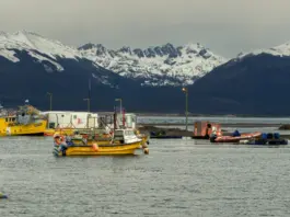 Ushuaia en alerta por el brote de hantavirus image