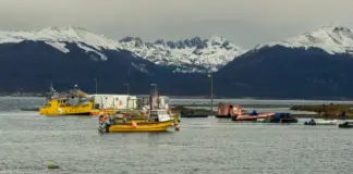 Ushuaia en alerta por el brote de hantavirus image
