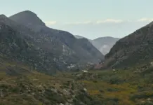 Avance Valle Salvaje y el castigo que lo cambia todo Avance Valle Salvaje y el castigo que lo cambia todo image