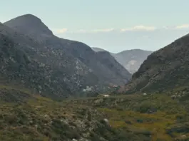 Avance Valle Salvaje y el castigo que lo cambia todo Avance Valle Salvaje y el castigo que lo cambia todo image