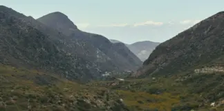 Avance Valle Salvaje y el castigo que lo cambia todo image