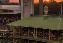 zimbabwe vs australia da la gran sorpresa en 2026 zimbabwe vs australia da la gran sorpresa en 2026 image